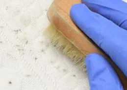 Mould-removal